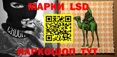 mix Сланцы