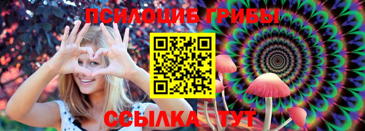 Псилоцибиновые грибы Psilocybe Новоалександровск